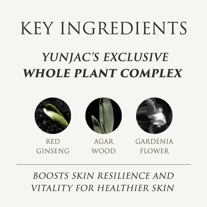 YUNJAC Whole Plant Effect Foam Cleanser (4.23 oz) - Gentle Creamy Matcha Foam Cleanser. Gently Removes and Cleanses. Hydrate and Soothe Skin.