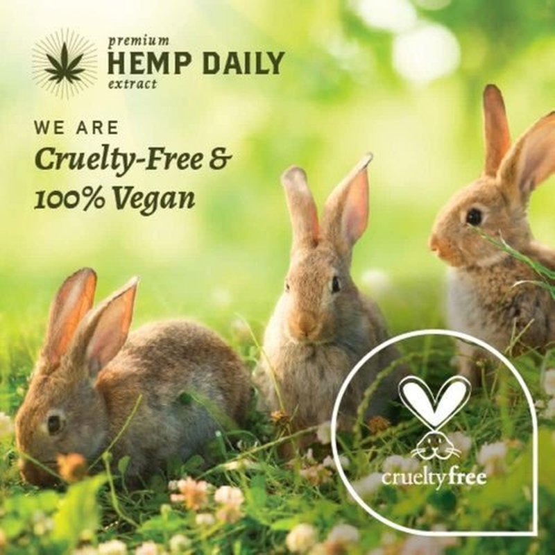 Hemp Daily Intensive Cream | Hemp Cream with Essential Oils | Vegan, Organic Ingredients | 5.0 Ounces (Classic Mint)