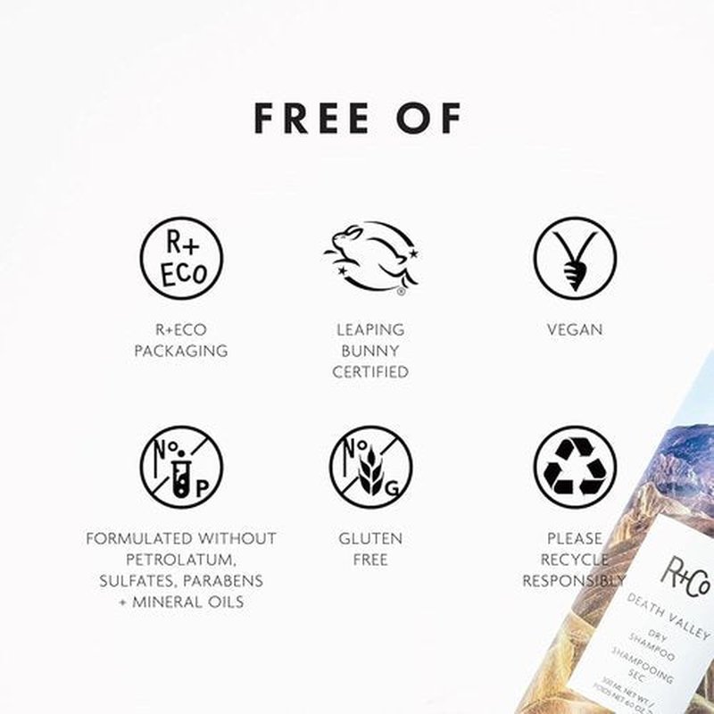 R+Co Death Valley Dry Shampoo for Women - Adds Volume & Body | Vegan, Gluten-Free, Paraben-Free