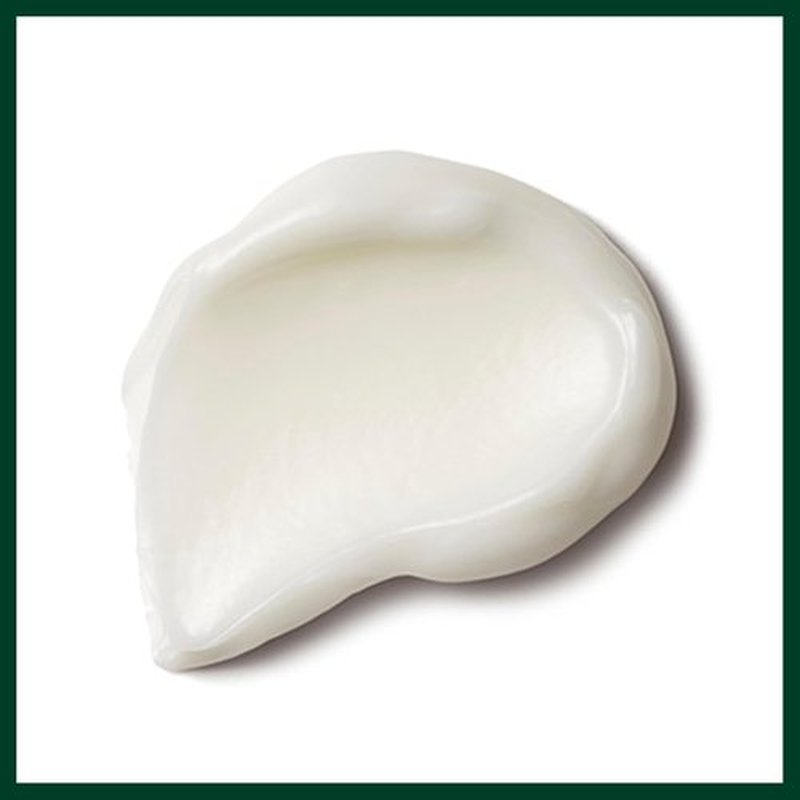 Aveda Nutriplenish Treatment Masque - Deep Moisture Conditioning Mask for Medium to Thick Hair | Organic Oils & Mango Butter