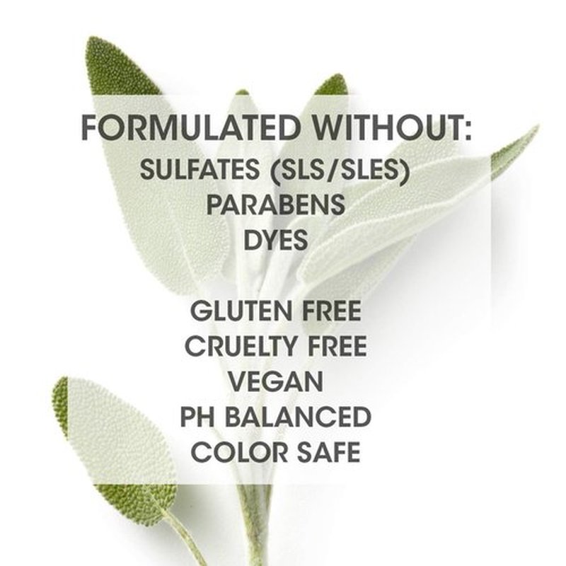 SEVEN Haircare Satara Volume Shampoo - Sulfate & Paraben Free, Pro Vitamin B5 & Argan Oil, 32oz