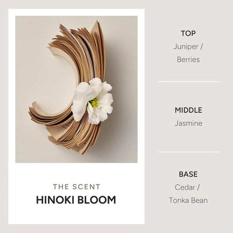 Hinoki Bloom Korean Rice Water Shampoo - Volumizing & Scalp Nourishing with Protein Complex & Biotin - 500ml / 16.90 fl oz