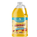 Bastion Antibacterial Hand Soap - Mango Scented Foaming Wash - 64 oz. Refill Jug | Non-Toxic & Made in the USA