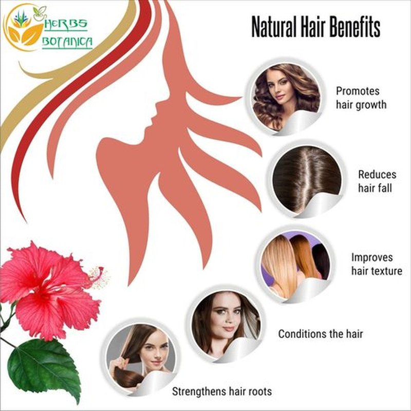 Herbs Botanica Herbal Hair Mask Combo Brahmi, Reetha (Aritha), Shikakai, Hibiscus, Amla Powder 5.3 oz Each Total 1.65lbs For Hair Growth, Scalp Health