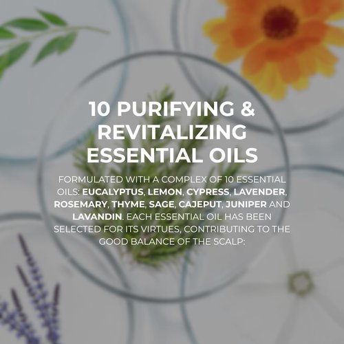 PHYTO POLLEINE Fortifying Balancing Concentrate - 100% Plant-Based Pre-Shampoo Scalp Treatment with 10 Essential Oils - Revitalizes & Soothes All Scalp Types - 1.01 fl oz