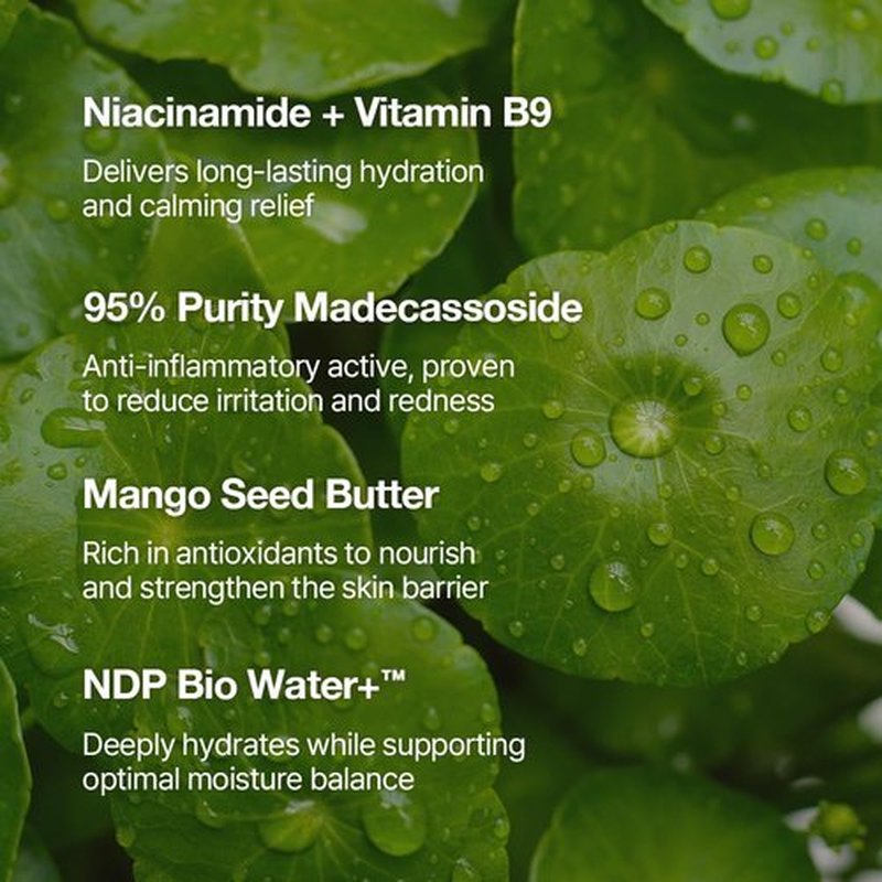 NDP Vitamin B9 Tone-Up Cream - Silicone-Free Face Primer for Pore Minimizing | 95% Pure Cica Extract, 65ml