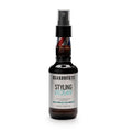 Beardburys Texturizing Sea Salt Spray - Volume & Shine for Beach Hair, 8.5 Oz