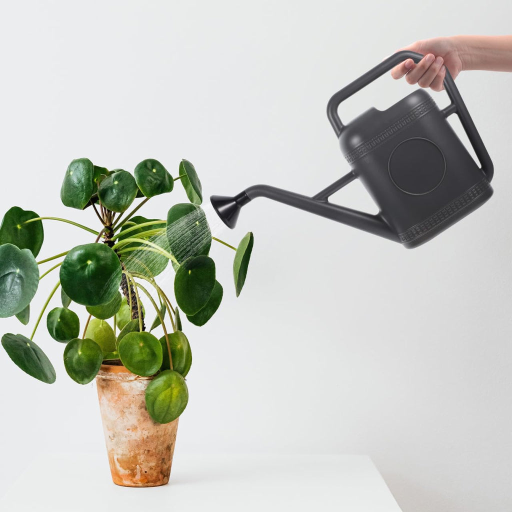 Housoutil Plastic Watering Can 5l Large Capacity Garden Watering Sprinkler Durable Comfortable Handle