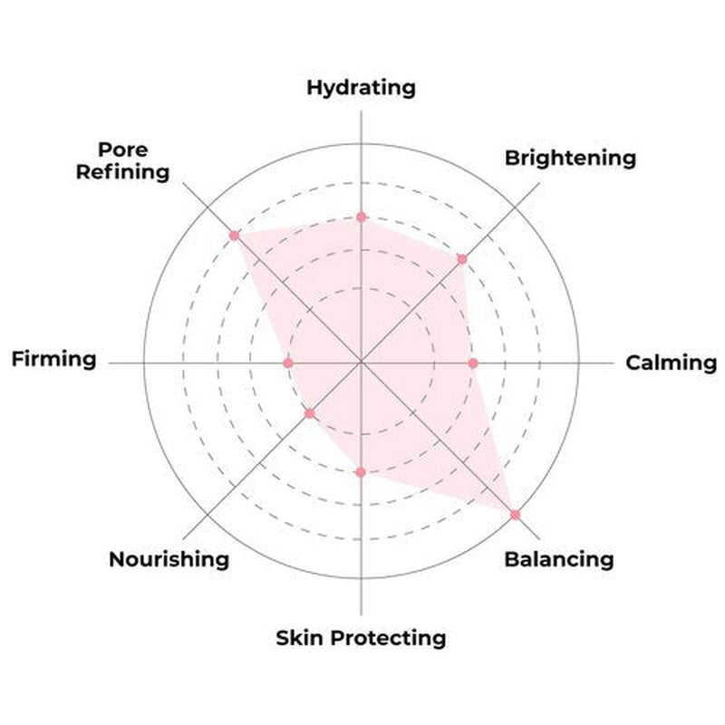 FACETORY K Beauty Face Mask Skin Care - Everyday CHARCOAL Detoxifying Sheet Mask | Plant-Based Charcoal Face Mask (5 Pack)