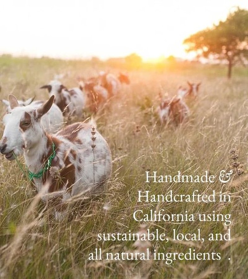Goat Milk Body Lotion - Fragrance-Free Natural Moisturizer for Dry Sensitive Skin | 16oz Fast-Absorbing & Lightweight