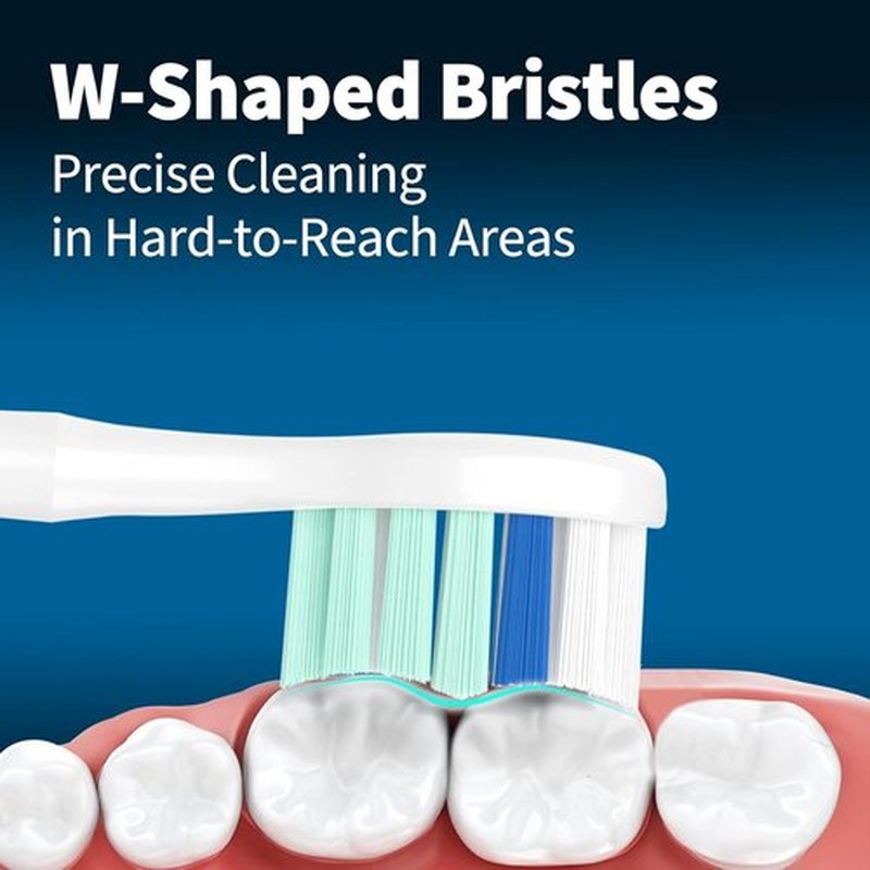 Philips Sonicare Replacement Toothbrush Heads - Compatible C2 C1 4100 | 12-Pack Electric Brush Heads