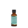 Aveda Eucalyptus Essential Oil - Fresh Aroma for Body & Bath | 1 Fl Oz