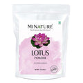 minature Lotus Powder | Flower Petal Powder | Nelumbo nucifera | | 100% Natural | Face Pack | Flawless Skin |227g (8 oz)