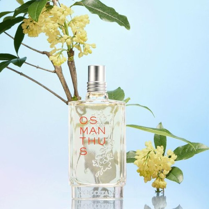 L'OCCITANE Osmanthus Eau de Toilette - 2.50 Fl Oz | Floral Fragrance for Women