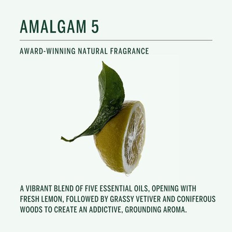 Corpus - Amalgam 5 Aromatic Hand Wash with Argan Oil & Vitamin E | Vegan, Non-Toxic Formula | 10 fl oz