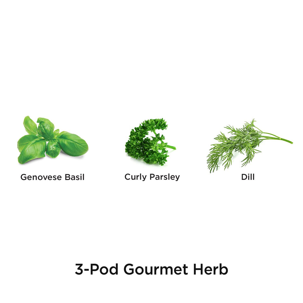 AeroGarden Gourmet Herb Seed Pod Kit, 3-Pod