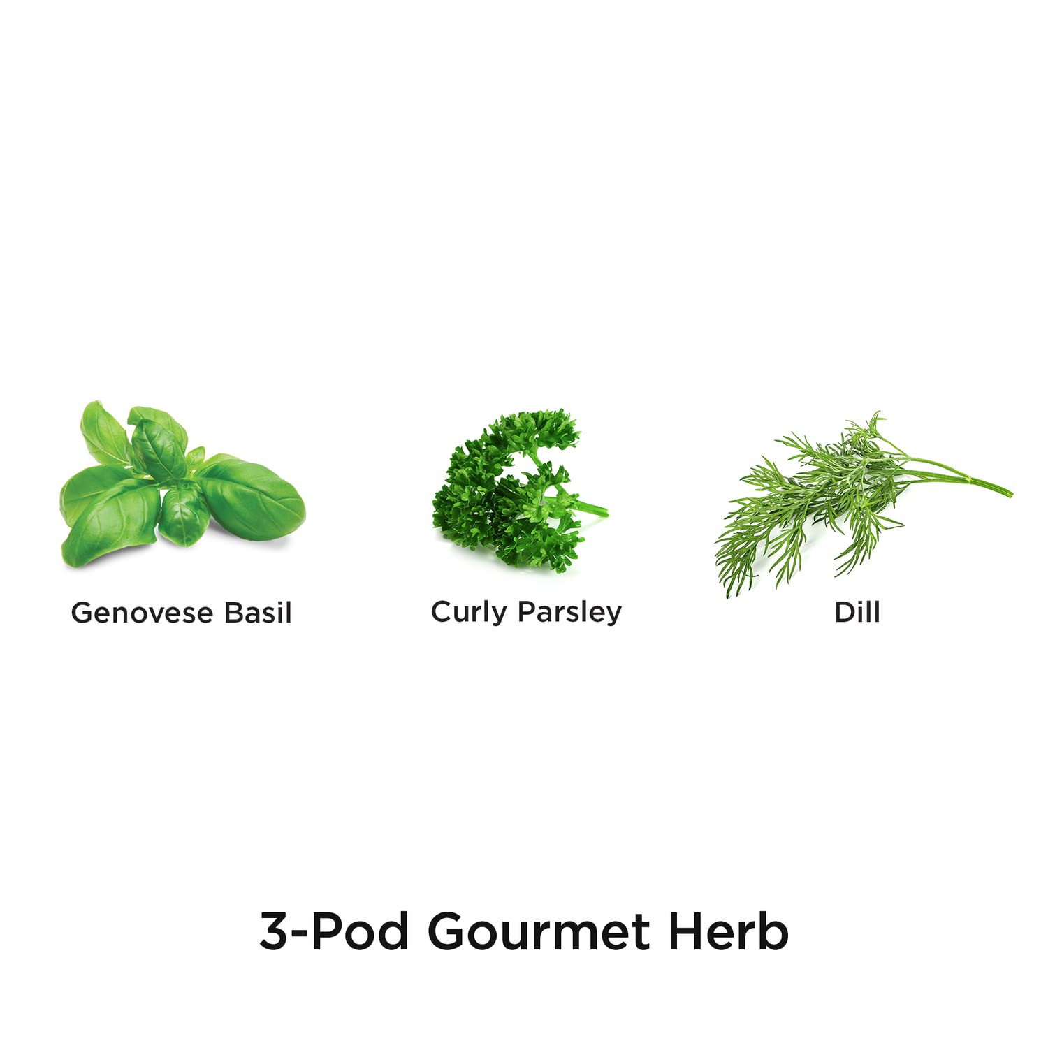 AeroGarden Gourmet Herb Seed Pod Kit, 3-Pod