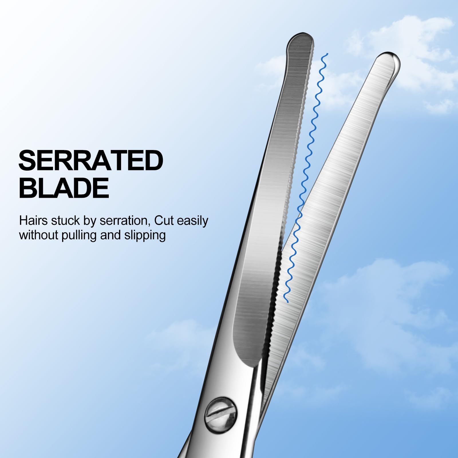 Lobodt 4.1inch round-headed stainless steel small scissors, suitable for trimming facial hair, nose hair, eyebrows, eyelashes, beards, personal care and salon beauty salons (silver)