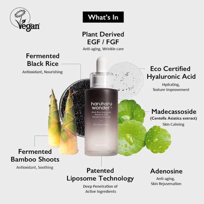 haruharu wonder Vegan Well-Aging Collection, Korean Skincare Set, Holiday Gift Set, Suitable for All Skin Types