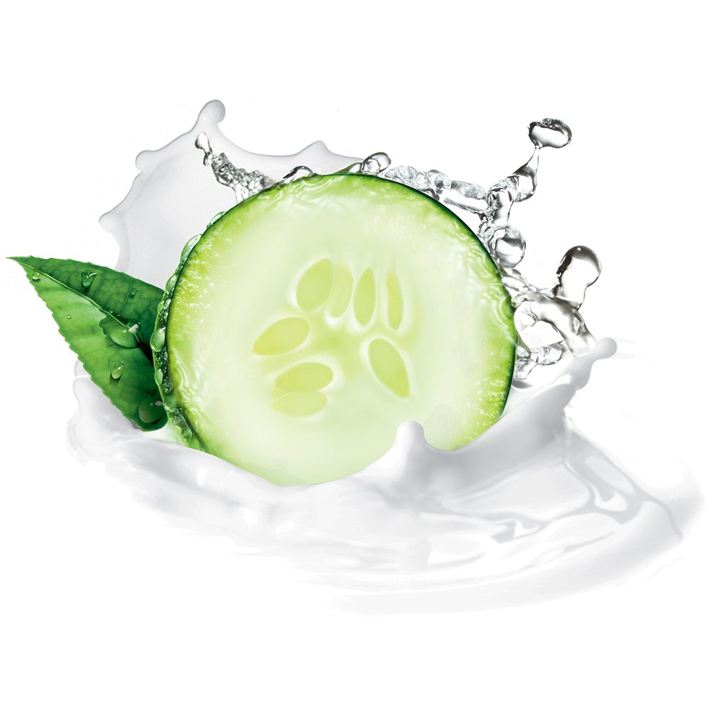 Dove Cool Moisture Cucumber & Green Tea Scent Body Wash 12 oz (Pack of 6)