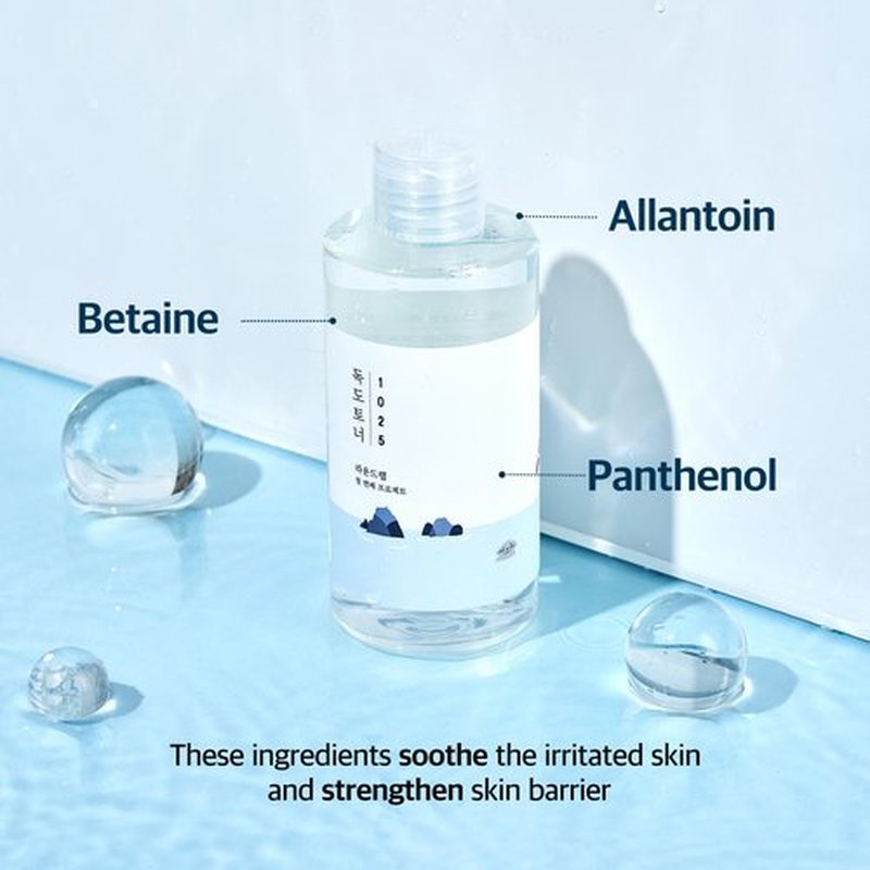 ROUND LAB Dokdo Toner/Exfoliating, Hydrating, Watery Type Toner (100ml)