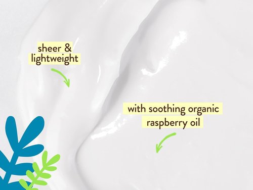 Babo Botanicals Daily Sheer Mineral Face Sunscreen SPF 40 - Natural Zinc Oxide & Titanium Dioxide - Fragrance-Free Formula
