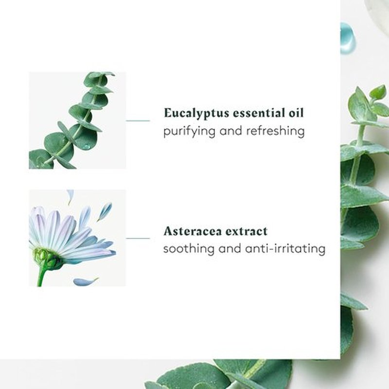 Rene Furterer AsterA Soothing Concentrate | Pre-Shampoo Scalp Treatment - Mint & Eucalyptus - 1.6 Oz