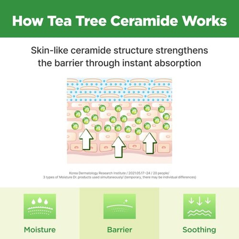ISOI Moisture Dr. Mask Pack, Hydrating & Soothing Korean Sheet Mask for Face with Tea Tree, Ceramide & Hyaluronic Acid, Nourishing Skin Barrier Care, Korean Skin Care (10EA)