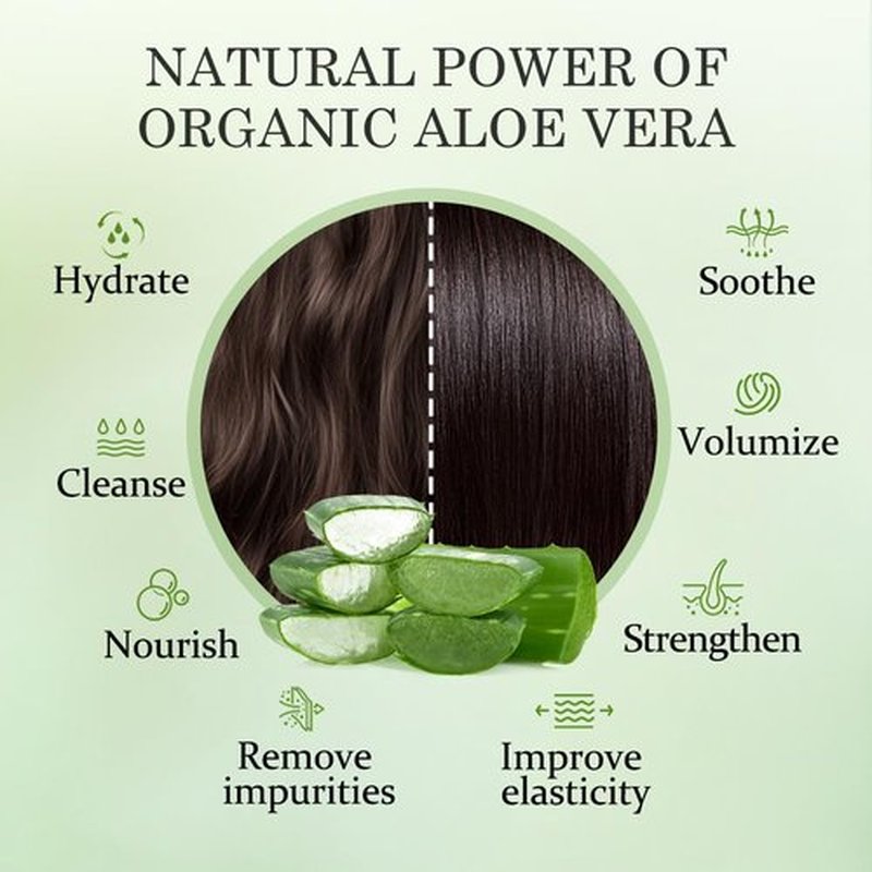 Aloderma Aloe Nourishing Shampoo 16oz - Made with Fresh, Organic Aloe Vera (No Water Added) for Dry, Damaged Hair - Gently Cleanse and Moisturize for Soft, Healthy, Shiny Hair - Alcohol, Paraben-Free