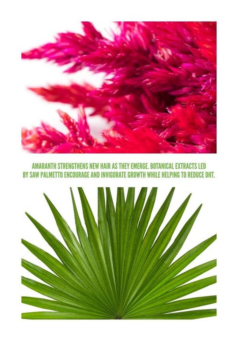 Surface Hair - Awaken Therapeutic Treatment for Thinning Hair | Natural Ingredients for a Healthy Scalp