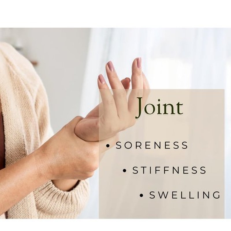 SSF Organics Comfrey Oil for Healing, Relief and Recovery - Undiluted, Slow Solar Infused Topical Botanical Treatment, Free of Toxic Pyrrolizidine Alkaloids (PAs) & Parabens