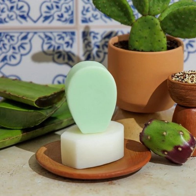Nopalera Shampoo Bar, Balance + Repair, Prickly Pear Solid Shampoo for Oily Hair, Color Safe and pH Balanced, Clean Vegan Formula, 3.65 oz