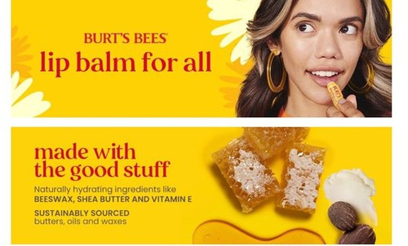 Burt's Bees Strawberry Lemonade Lip Balm - Moisturizing & Refreshing | 2 Tubes (0.15 oz)
