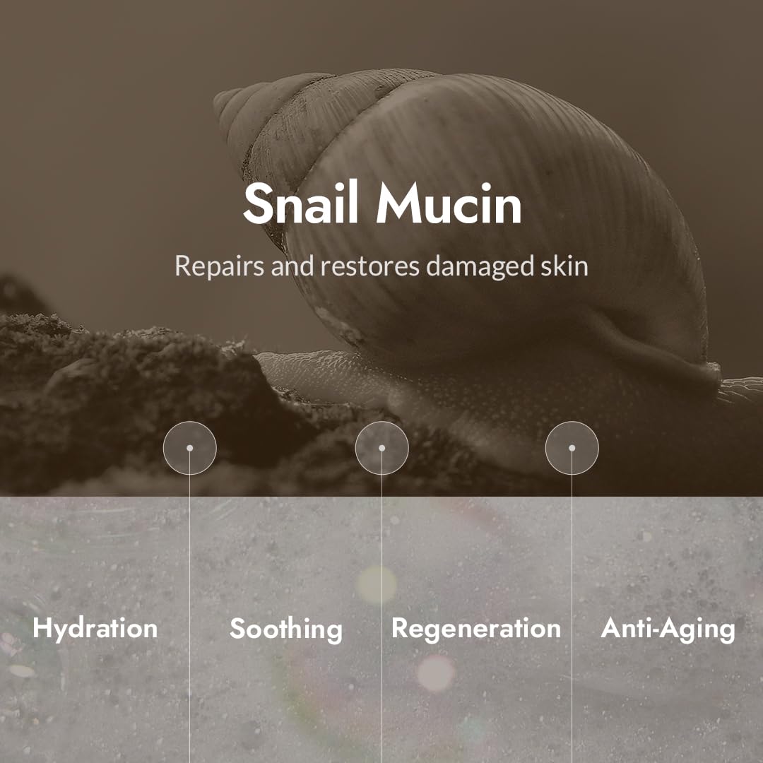 MIZON Snail Repair Intensive Toner with Snail Mucin Hyaluronic Acid Adenosine Centella Asiatica Moisturizer Fine Line Treatment Safe Formula Korean Skincare (3.38 fl oz)
