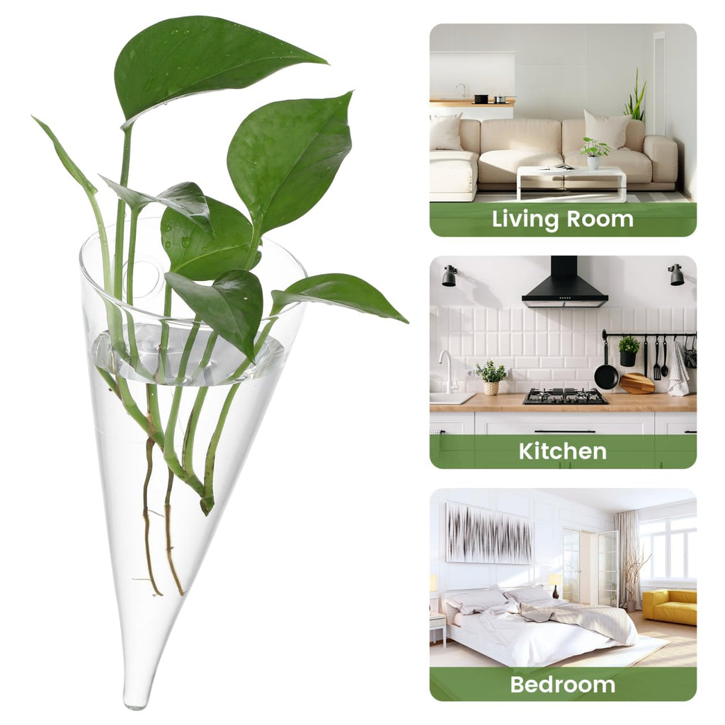 Healeved Transparent Circular Cone Glass Vase, Wall Mounted Plant Propagation Station, Ideal Mother's Day Gift, 20.50 cm (H) x 9.00 cm (Diameter)