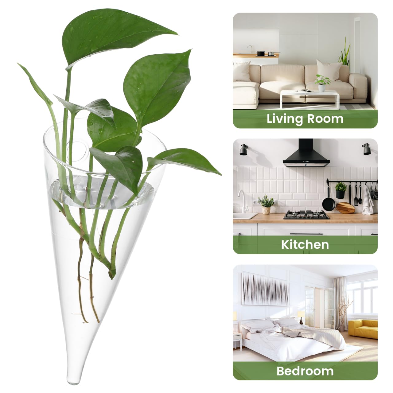Healeved Transparent Circular Cone Glass Vase, Wall Mounted Plant Propagation Station, Ideal Mother's Day Gift, 20.50 cm (H) x 9.00 cm (Diameter)