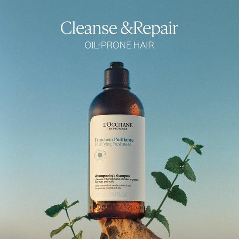 L'OCCITANE Purifying Freshness Shampoo - Reduces Sebum for Normal to Oily Hair | Silicone-Free Refill Available