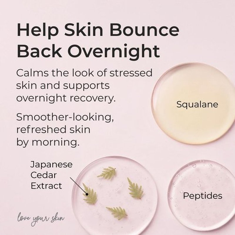 SIMPLE PLAN Night Cream – Restorative Hydrating Face Cream with Ceramides & Hyaluronic Acid | Anti-Aging Night Moisturizer for Face | Nourishing Facial Moisturizer for Women & Men – 50ml