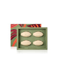 Natura Cacau Bar Soap Set - Moisturizing Cocoa Butter Soap for Dry Skin | Vegan & Nourishing, 4 Pack - 3.5 oz Each
