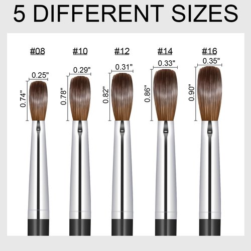 KEMEISI Acrylic Nail Brush #16, Kolinsky Nail Art Brushes, Sturdy Handle Oval Shaped Design Tools for Professional Manicure DIY