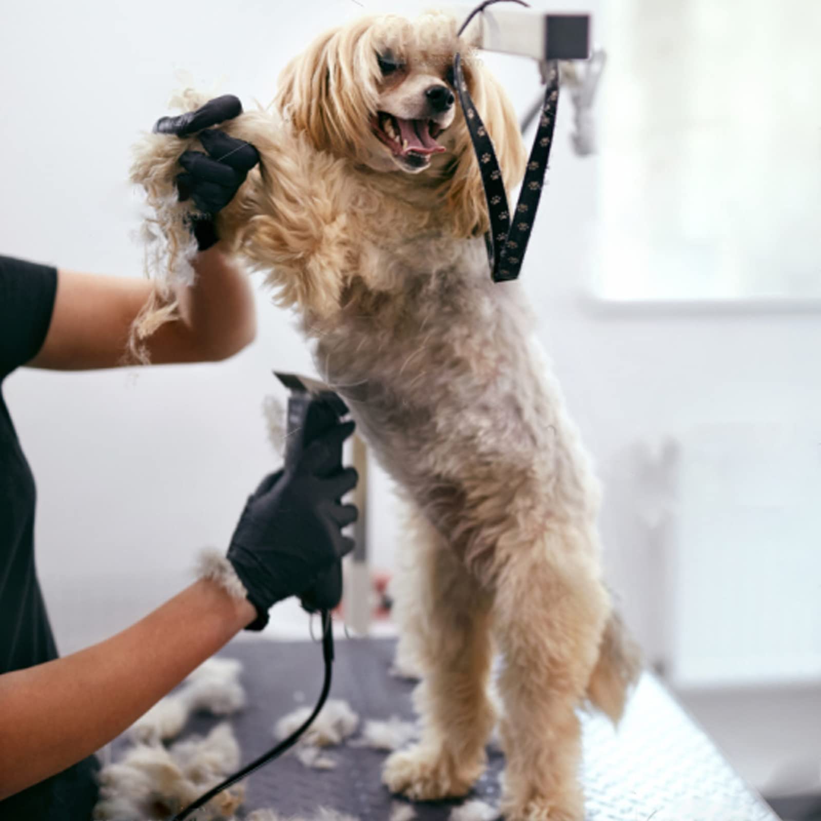5FC Blade Dog Grooming Clipper Blades,Compatible with Andis Dog Clipper