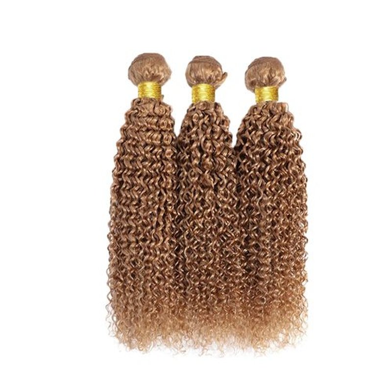 Color 27 Bundles Human Hair Honey Blonde Kinky Curly Bundles 18 20 22 Inch Brazilian Unprocessed Virgin Hair Extensions