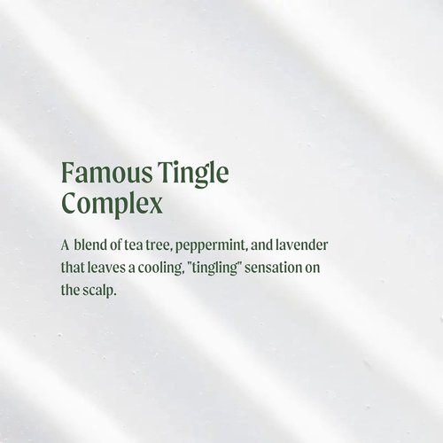 Tea Tree Special Conditioner - Detangles, Smooths & Softens All Hair Types | 16 Fl Oz