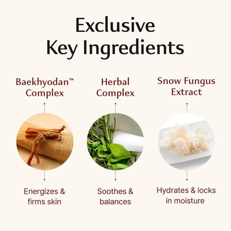Sooryehan Hyobidam Fermented Cream - Korean Face Moisturizer with Wild Ginseng | 1.7fl oz Wrinkle & Night Cream