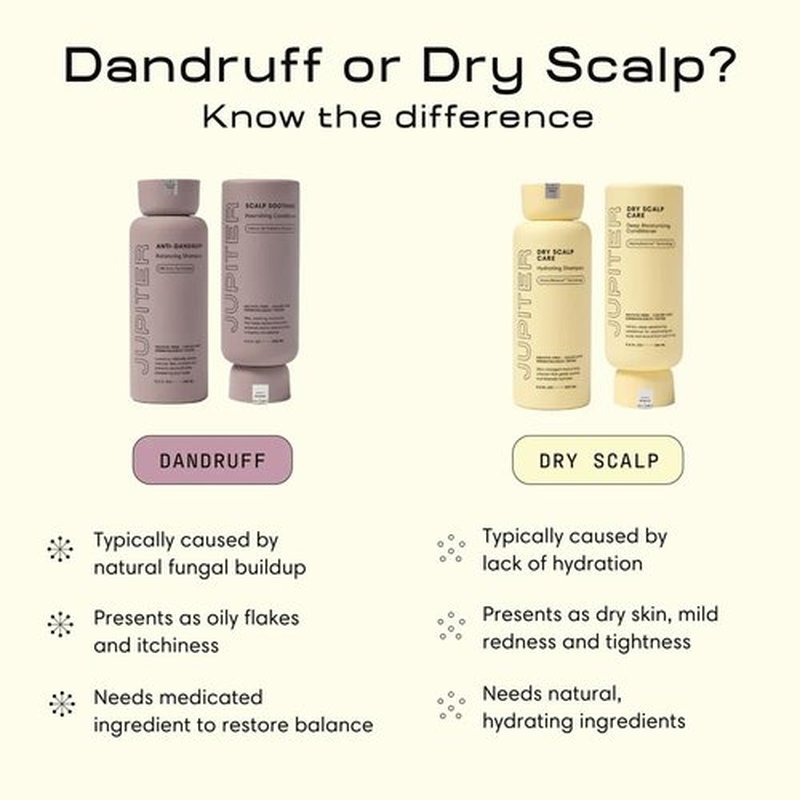 Jupiter Hydrating Shampoo & Conditioner Set - Moisturizing Daily Hair Care | Color-Safe, Sulfate-Free, 14 fl. oz. Each