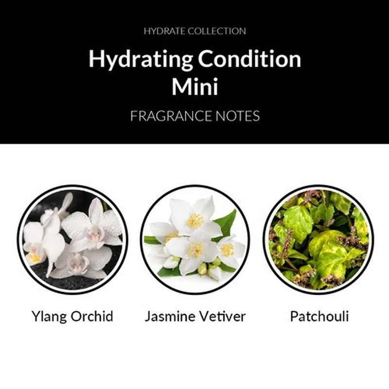 Number 4 Mini Hydrating Hair Conditioner - Travel Size Moisturizing Deep Conditioner for Dry, Damaged Hair | 1.5 oz