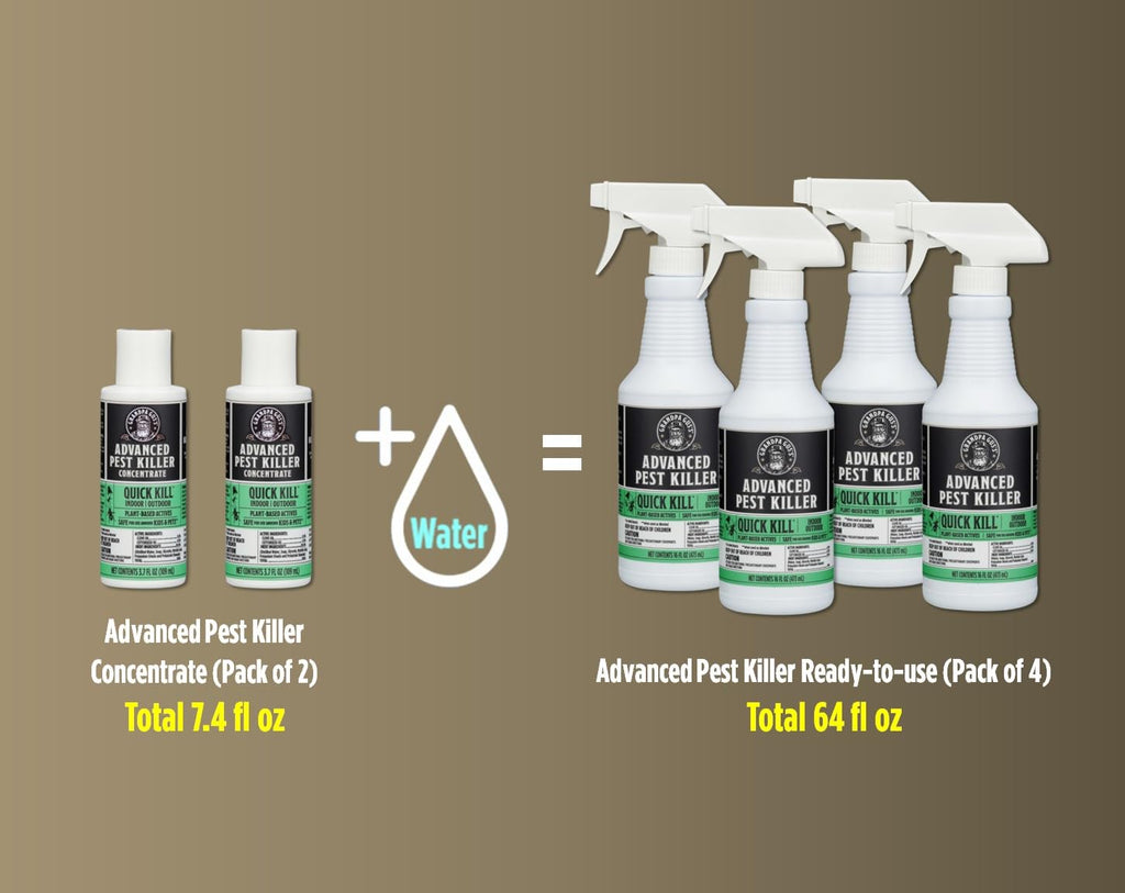 Grandpa Gus's Advanced Natural Pest Control with Clove & Cottonseed Oil - Indoor/Outdoor Insect Killer for Spiders, Ants, Roaches, Earwigs & Bed Bugs, Pet-Friendly, Concentrate 2 Pack + Spray Bottle