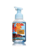 Bath and Body Works Gentle Foaming Hand Soap Crisp Morning Air