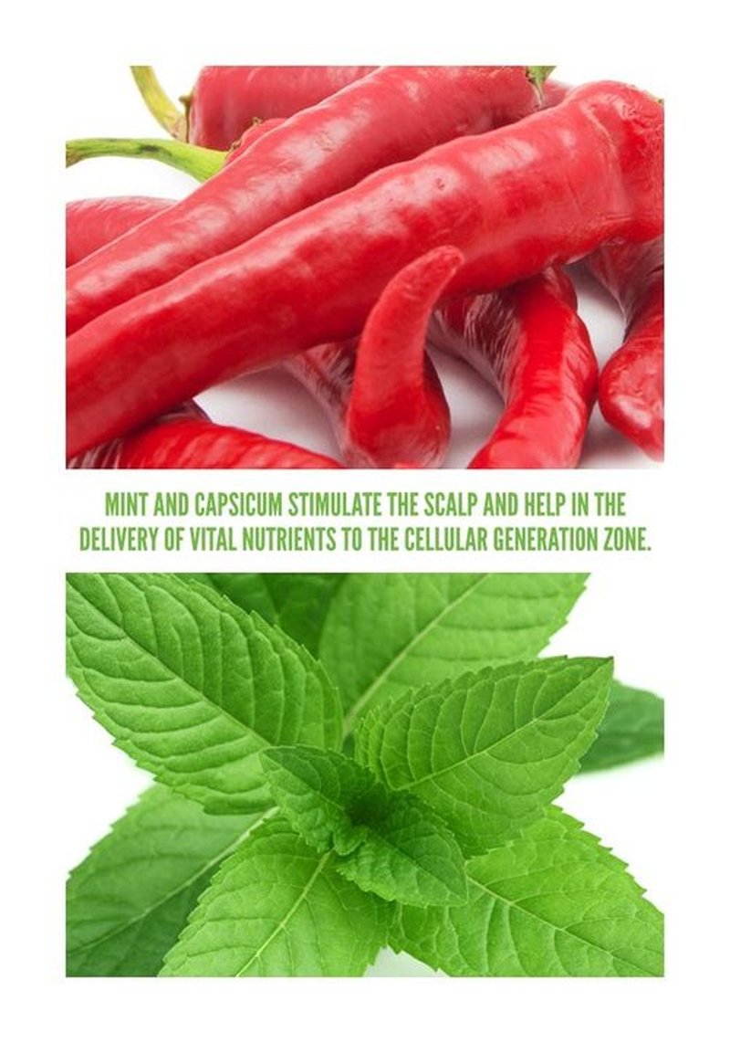 Surface Hair - Awaken Therapeutic Treatment for Thinning Hair | Natural Ingredients for a Healthy Scalp