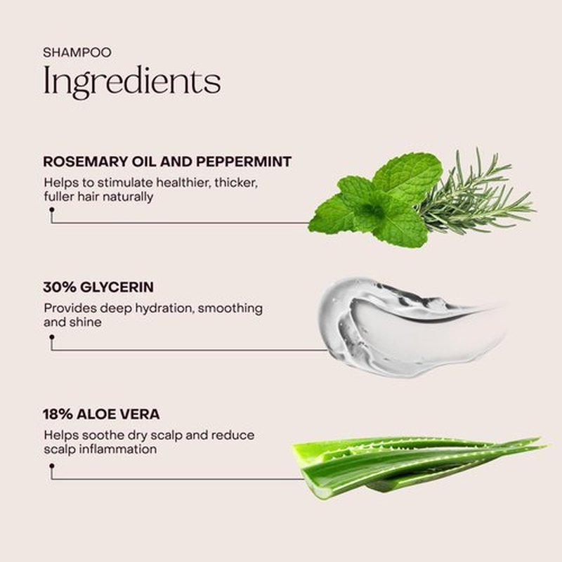 Everist Haircare Set - Shampoo & Deep Conditioner Concentrates for Strengthening & Hydrating | 3.4 fl oz Each